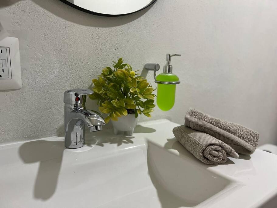 Апартаменты Depa Boho Al Sur Pet Friendly Piscina Gym Sala De Cine Гвадалахара Экстерьер фото